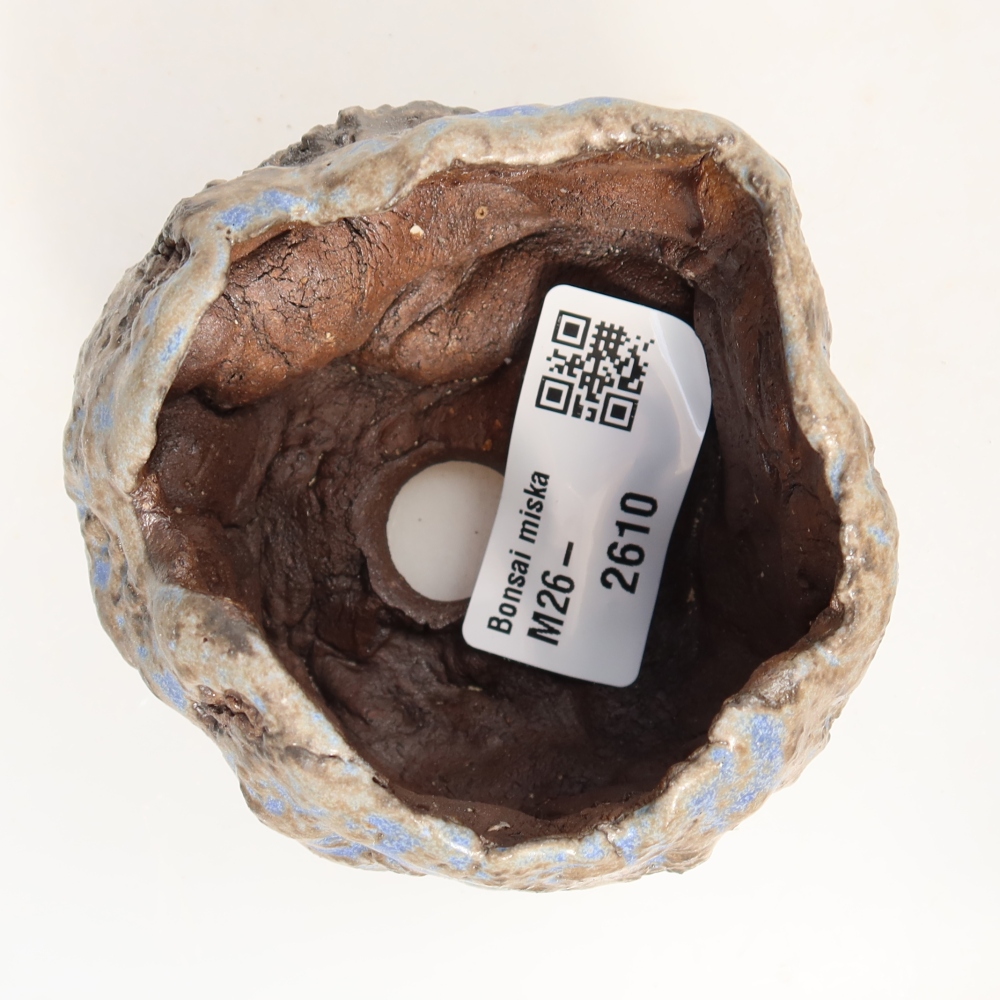 Ceramic Shell, 7 x 7 x 5.5 cm, blue-brown
