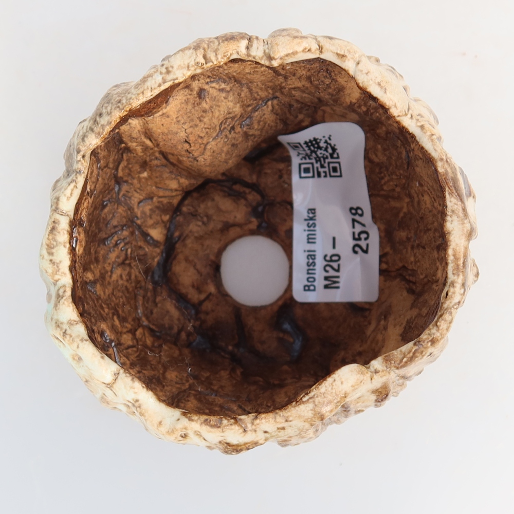 Ceramic Shell, 7.5 x 7 x 6.5 cm, white-brown