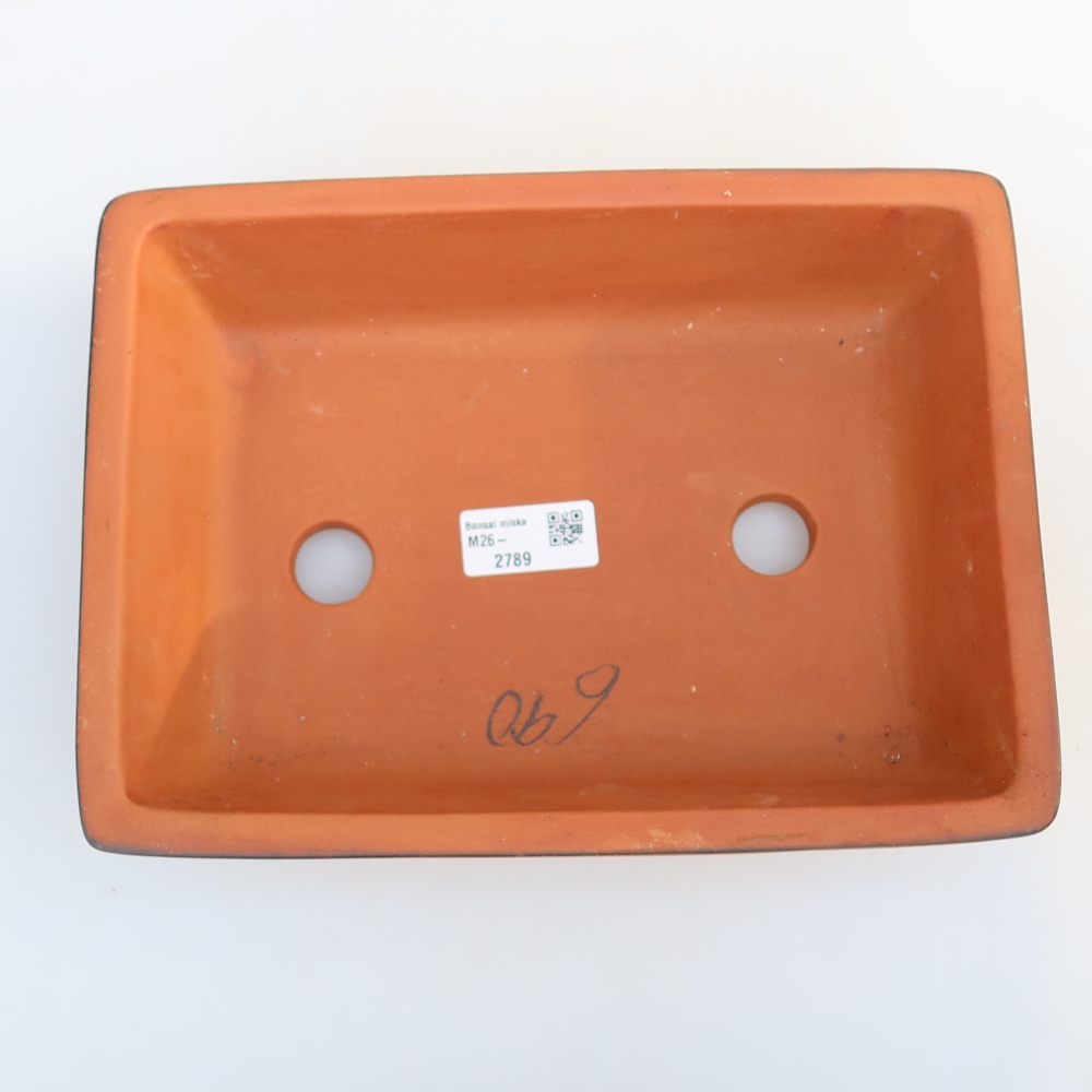 Ceramic Bowl  25.5 x 19 x 7 cm, brick red