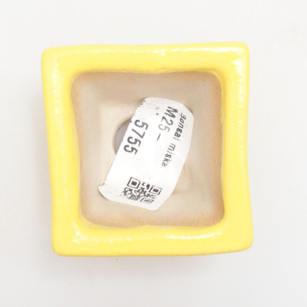 Ceramic bonsai bowl 5 x 5 x 3,5 cm, yellow