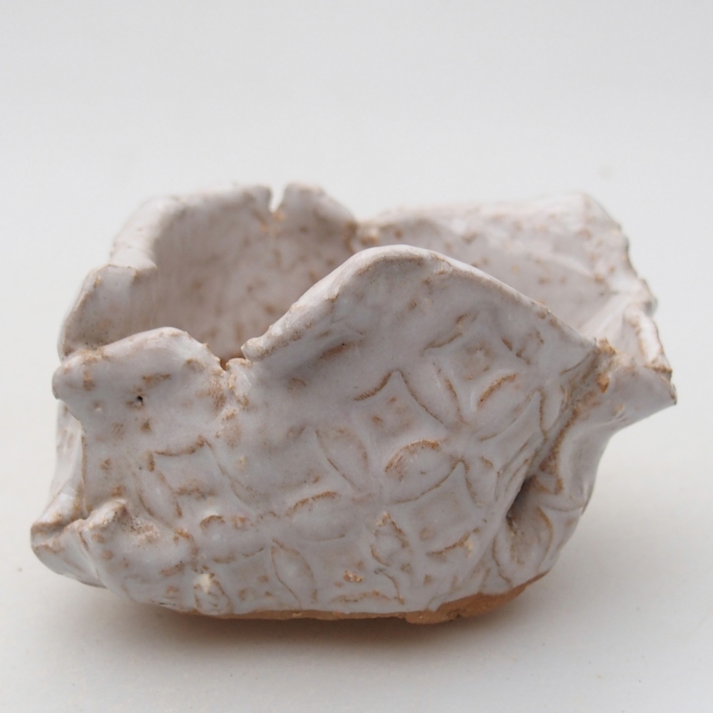 Ceramic Shell 8 x 7 x 4,5 cm , colour white