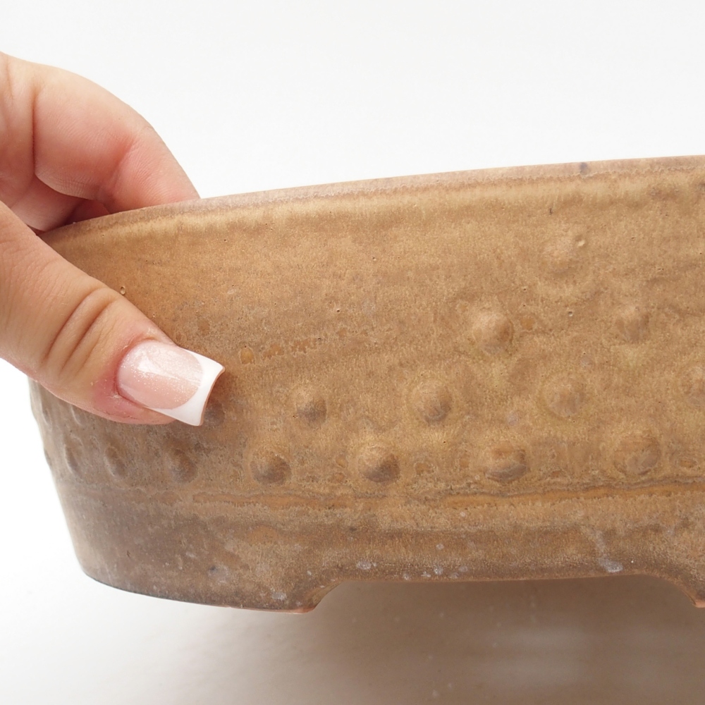 Ceramic bonsai bowl 24,5 x 24,5 x 7 cm, colour beige