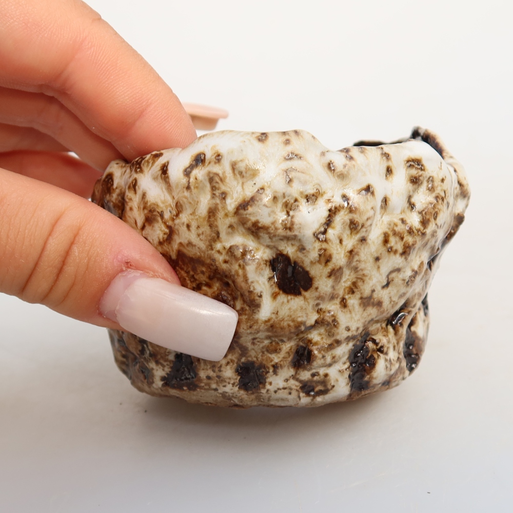 Ceramic Shell, 7.5 x 7.5 x 5 cm, white-brown