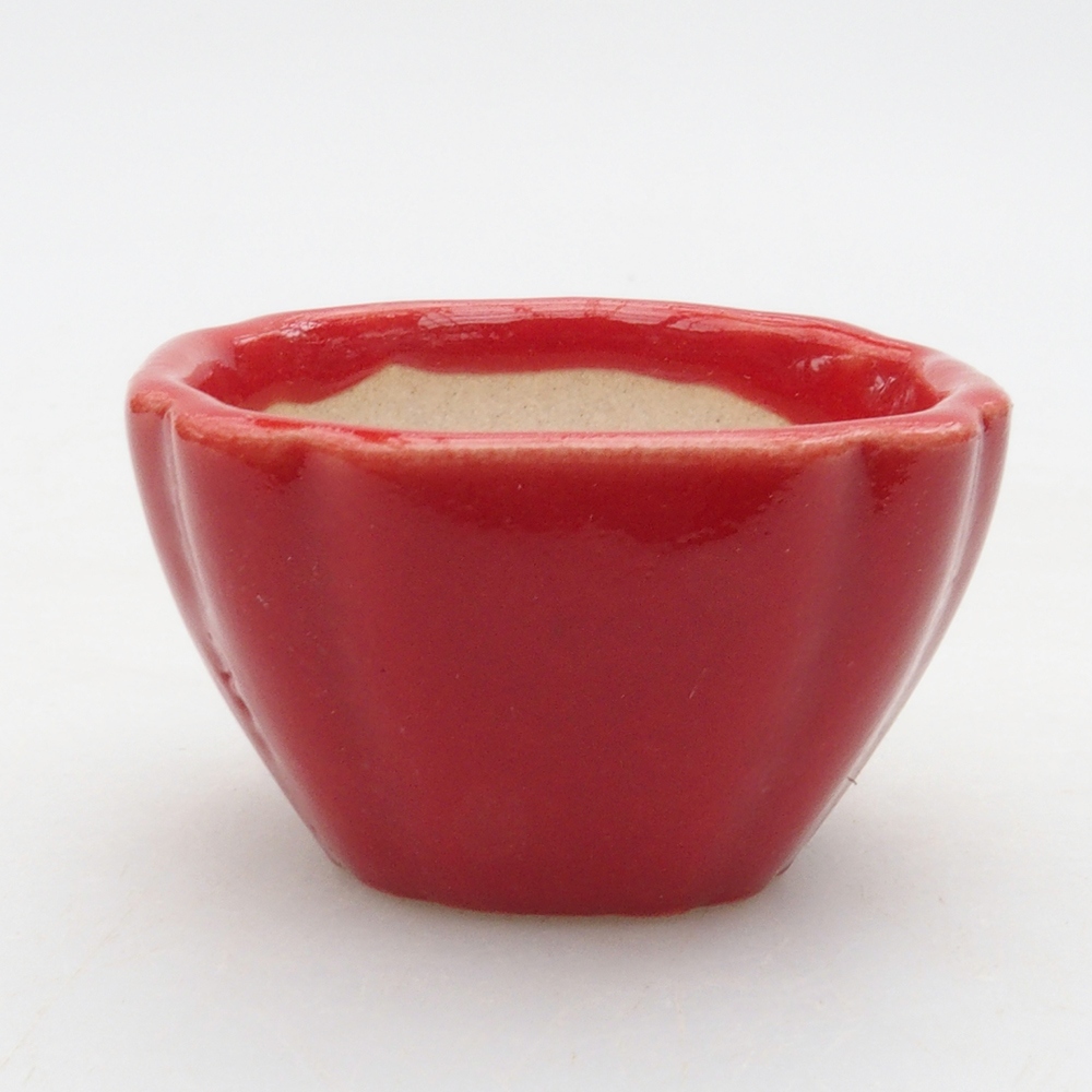Mini bonsai bowl 4 x 4 x 2,5 cm, color red