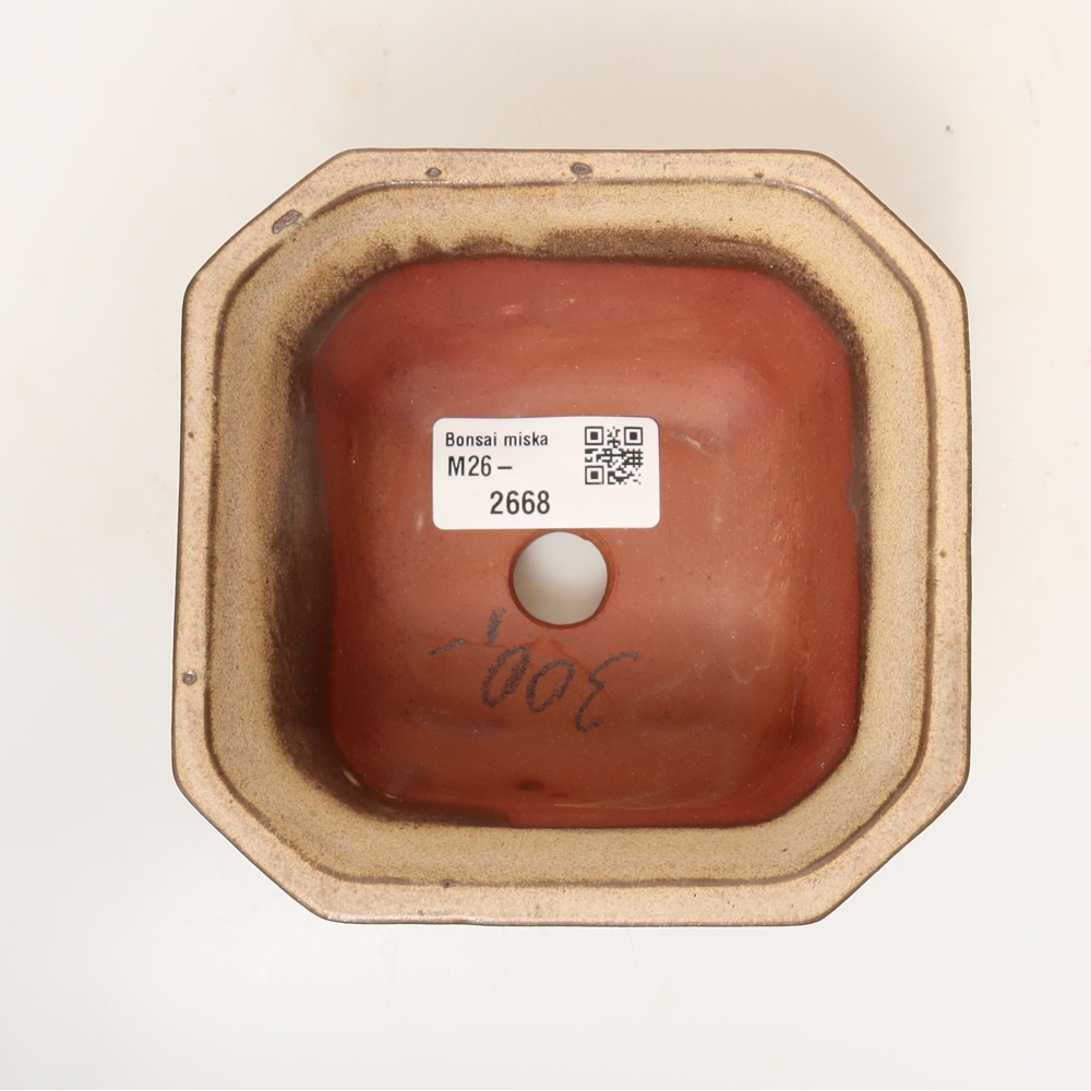 Ceramic Shell  11.5 x 11.5 x 7 cm, beige