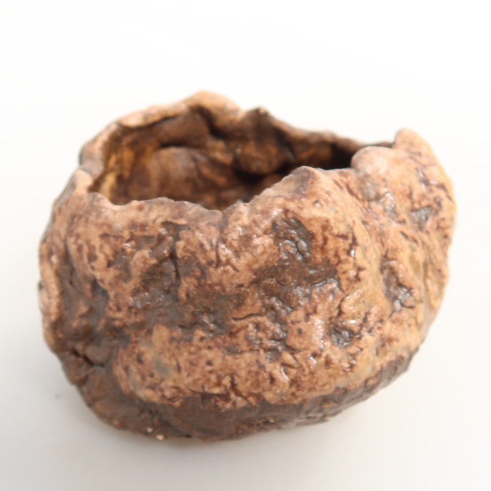 Ceramic Shell, 7 x 6 x 5 cm, brown