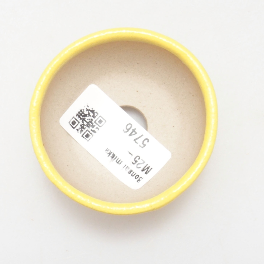 Ceramic bonsai bowl 6 x 6 x 2,5 cm, yellow