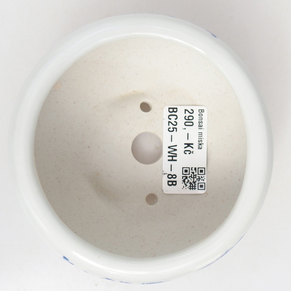 Ceramic bonsai bowl 10 x 10 x 5 cm, colour white
