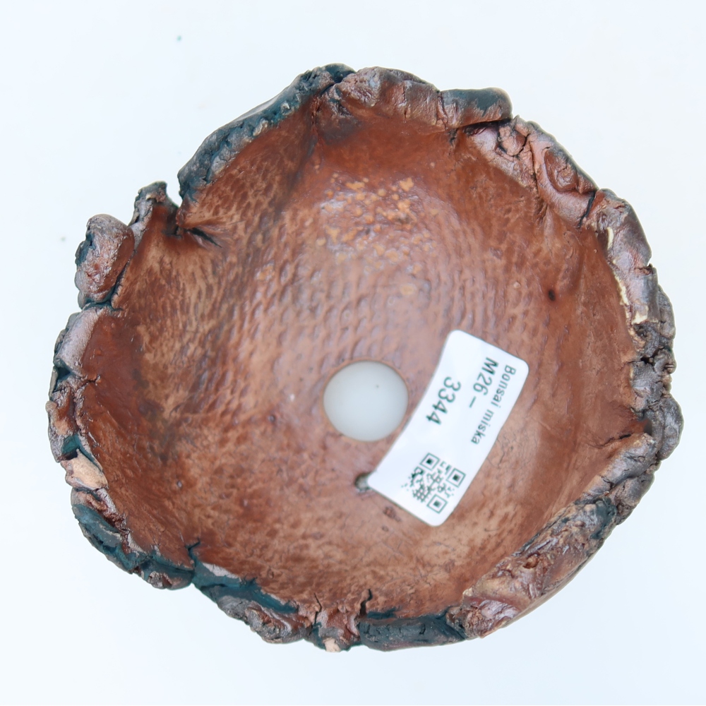 Ceramic Shell  11 x 11 x 8 cm, green