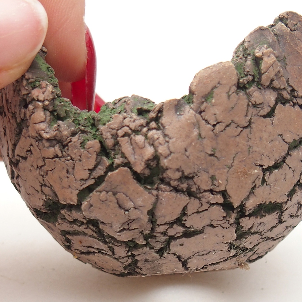 Ceramic Shell 7 x 6 x 5 cm , colour green