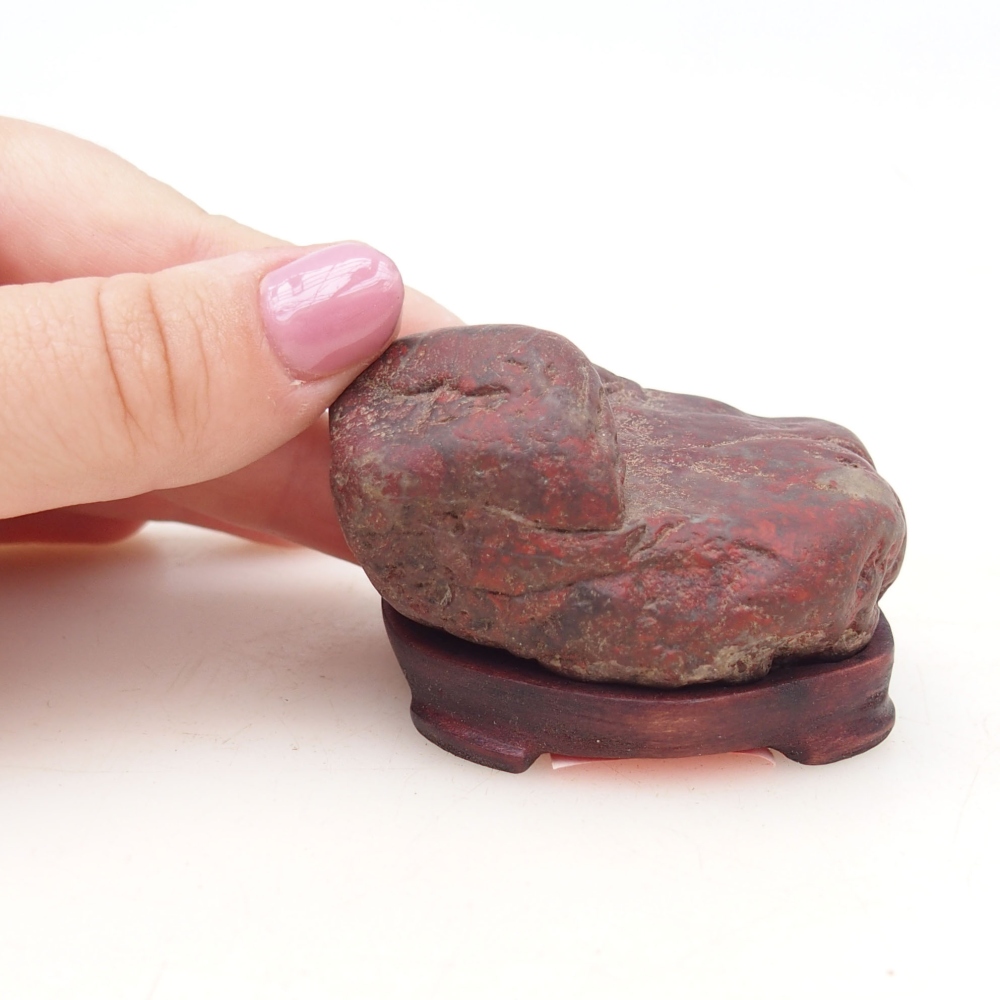 Suiseki - Stone with DAI (wooden pad)