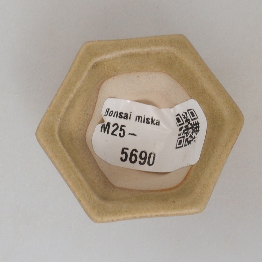Mini bonsai bowl 4,5 x 4,5 x 2,5 cm, color brown