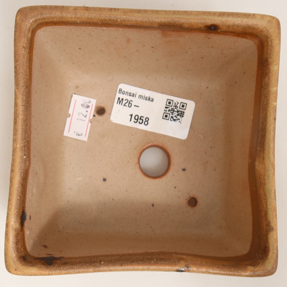 Ceramic bonsai pot, 10.5 x 10.5 x 6.5 cm, beige