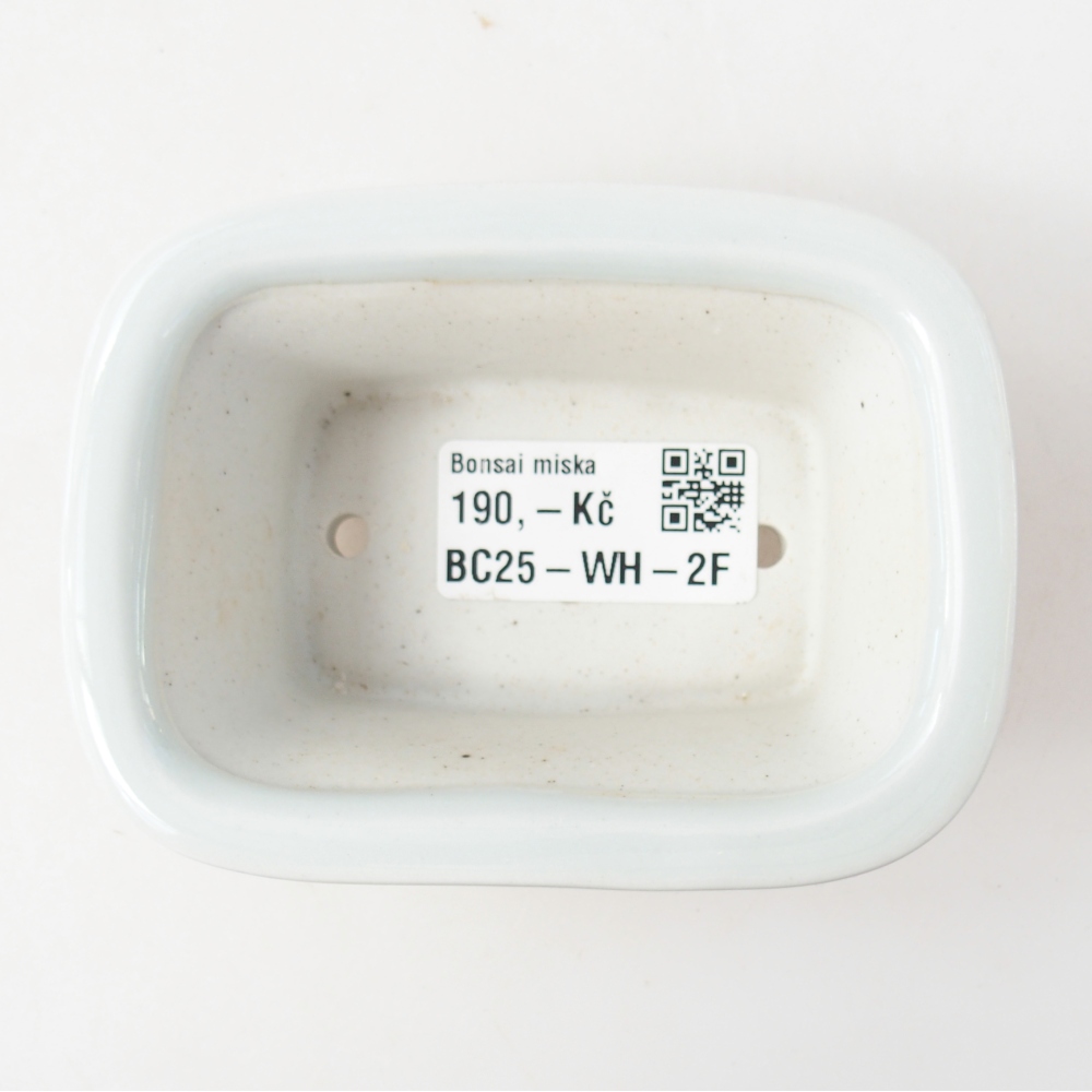 Mini bonsai bowl 10 x 7,5 x 4 cm, colour white