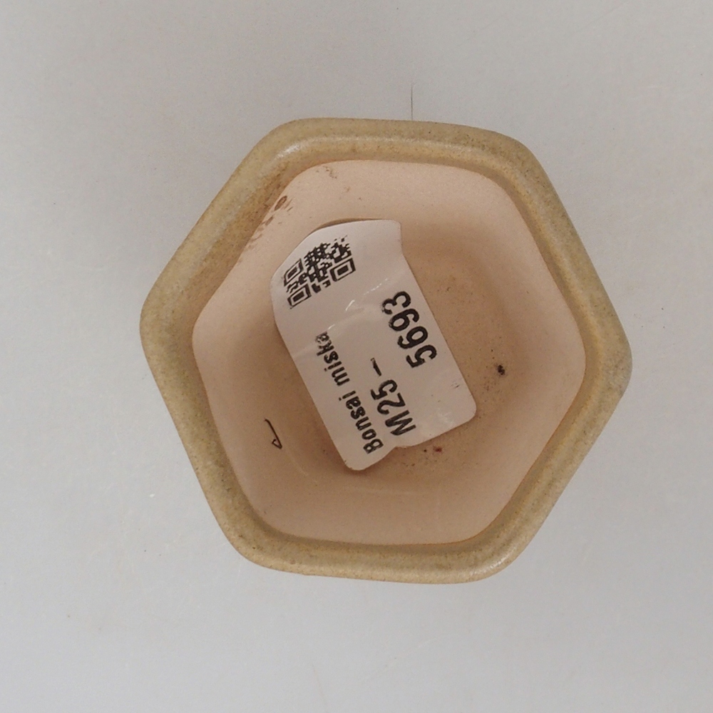 Mini bonsai bowl 5 x 5 x 5 cm, color brown