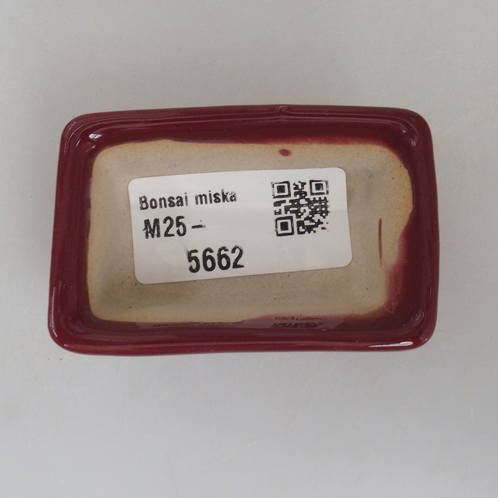 Mini bonsai bowl 6 x 4 x 2,5 cm, color burgundy