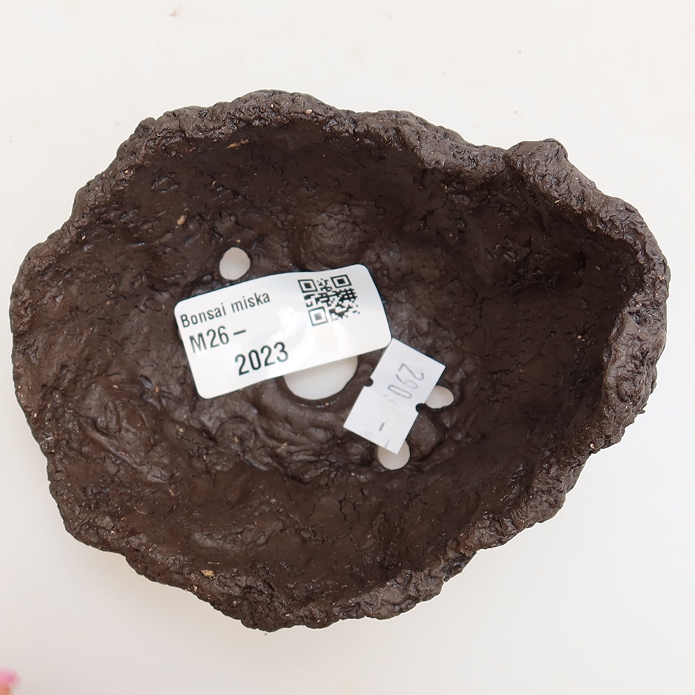 Ceramic Shell, 9.5 x 8 x 8 cm, brown