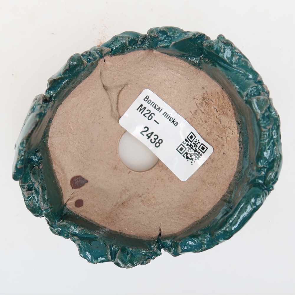Ceramic Shell  9 x 8.5 x 6.5 cm, green