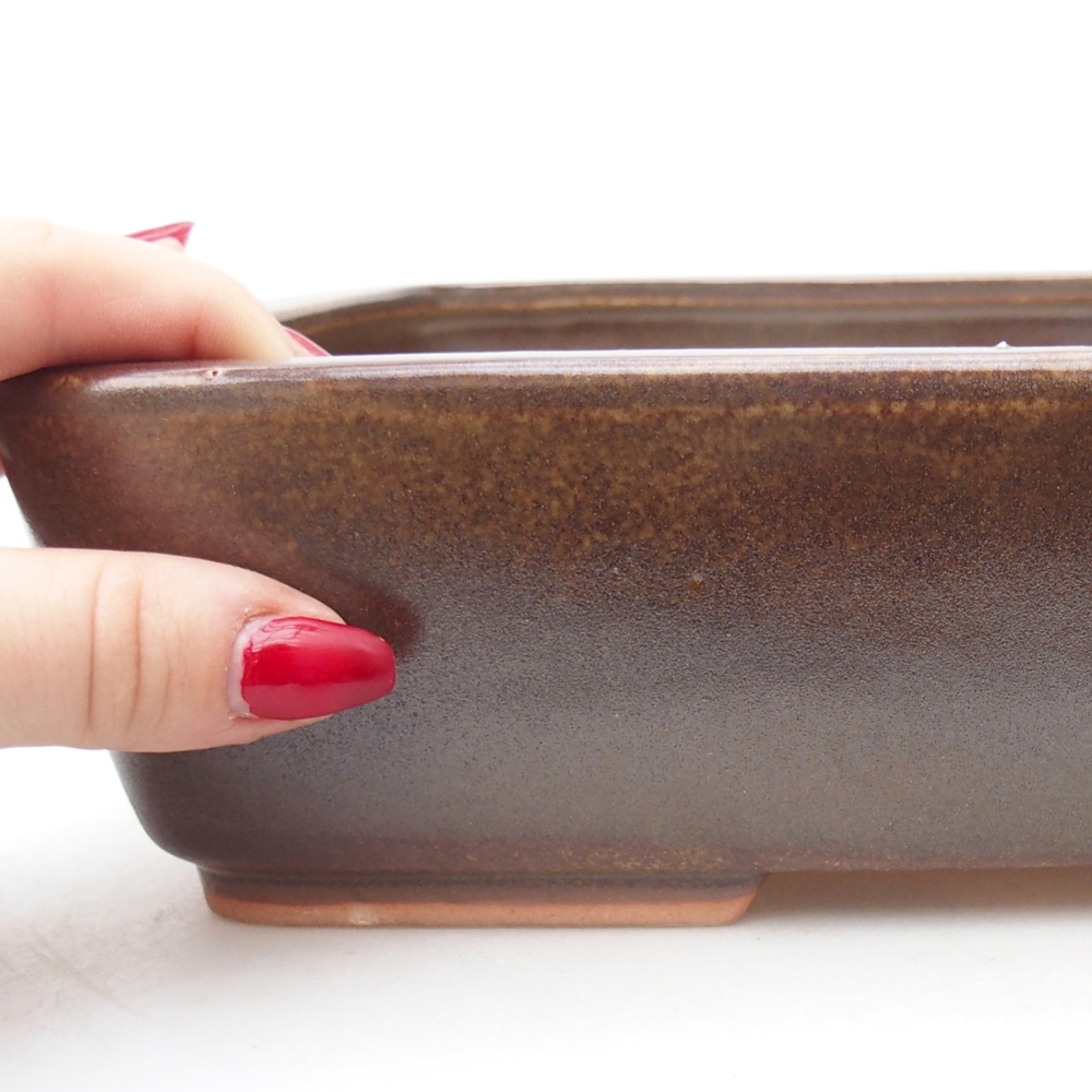 Ceramic bonsai bowl 26,5 x 20 x 6,5 cm, brown