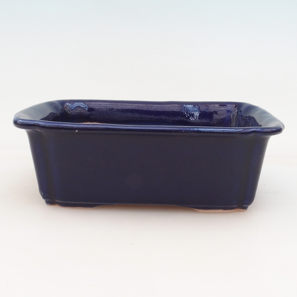 Bonsai bowl + saucer H50 - blue