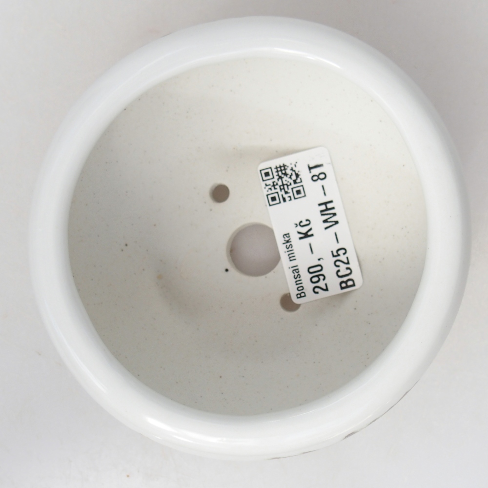 Ceramic bonsai bowl 10 x 10 x 5 cm, colour white