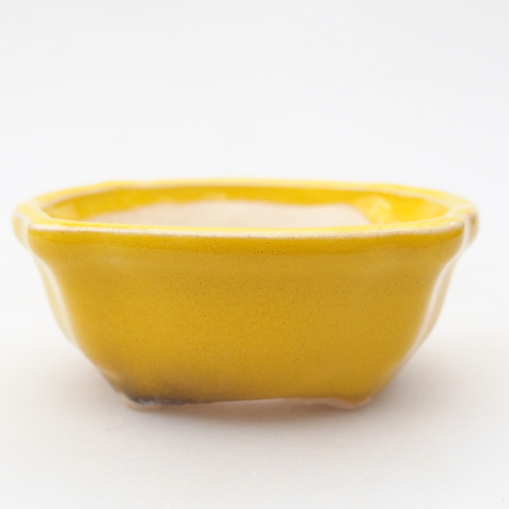Mini bonsai bowl 6,5 x 6,5 x 2,5 cm, yellow