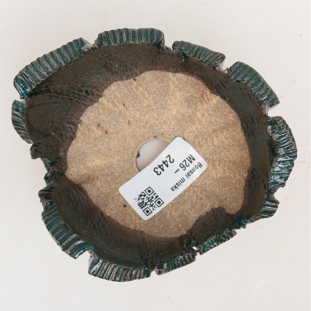 Ceramic Shell  10 x 10 x 6 cm, green