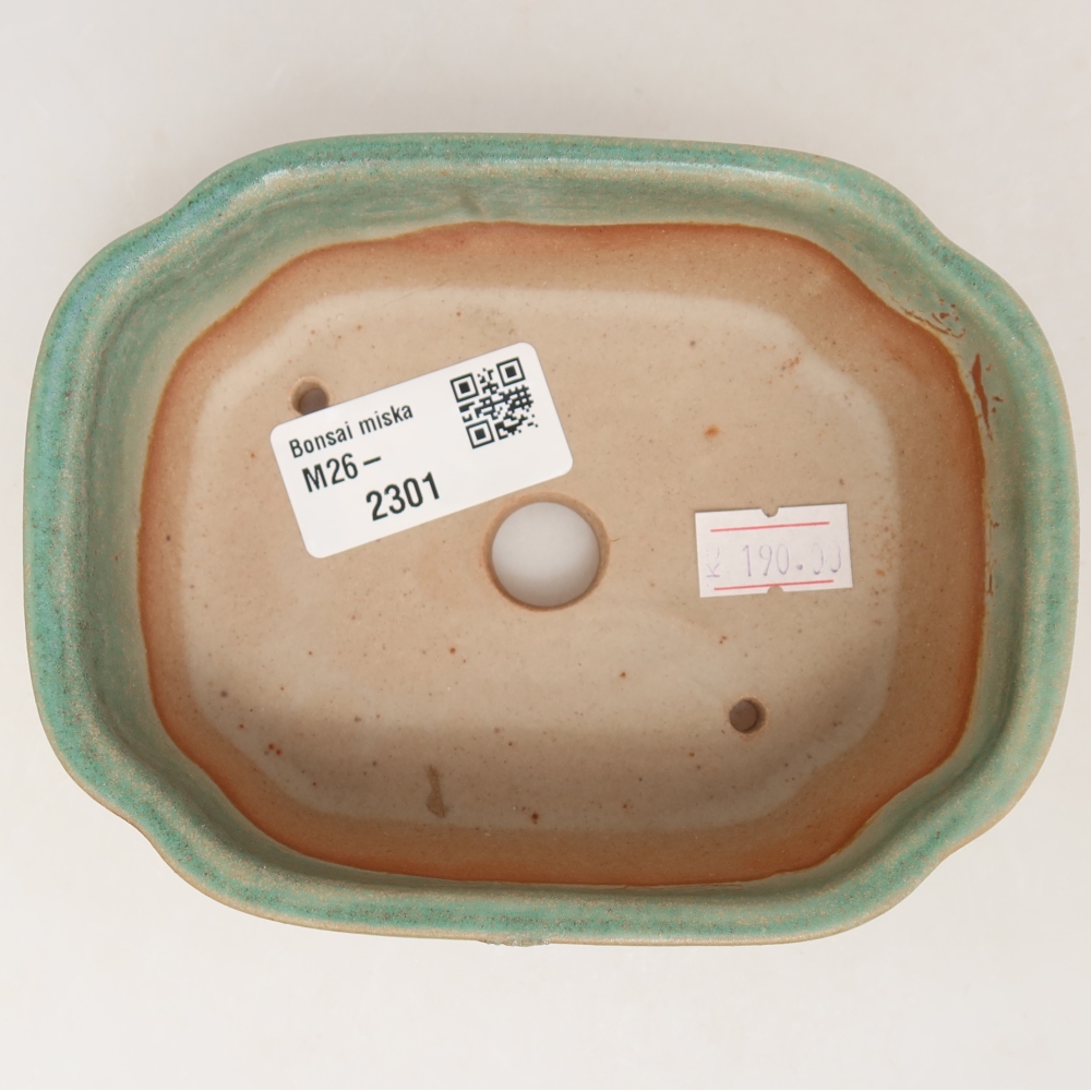 Ceramic bonsai pot, 12.5 x 10 x 4.5 cm, green