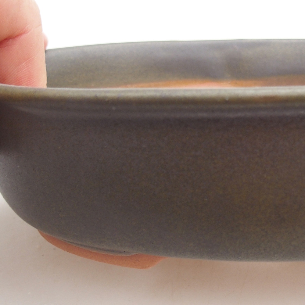 Ceramic bonsai bowl 19 x 14 x 4,5 cm, green
