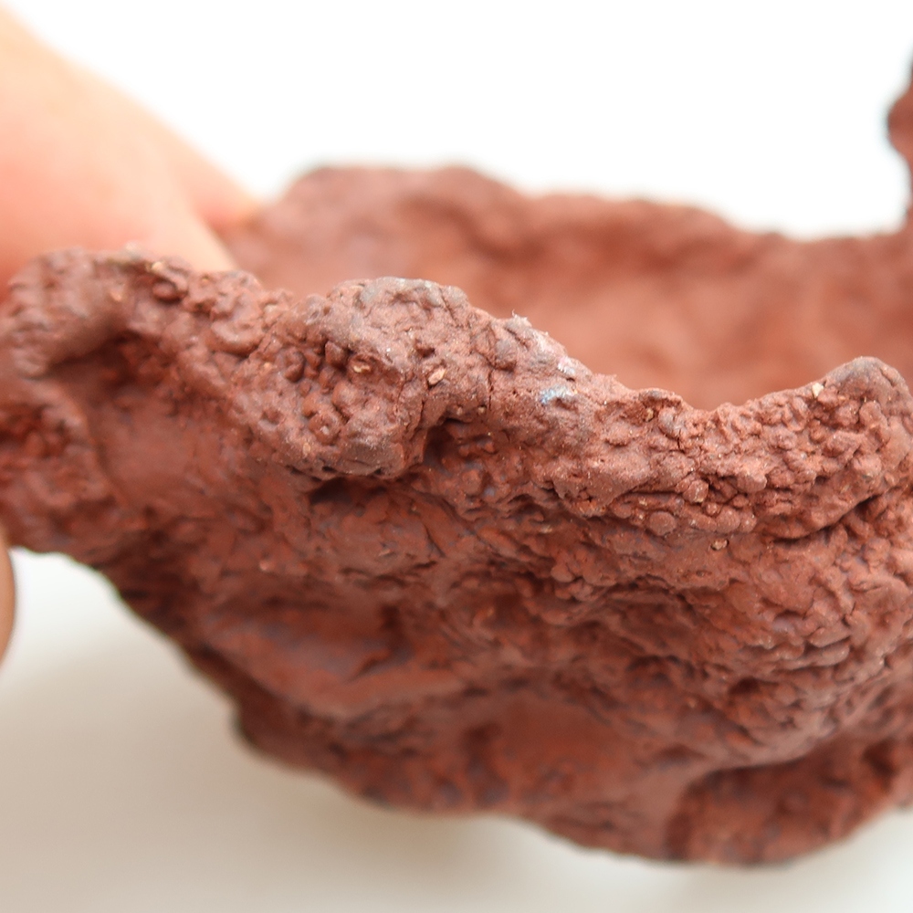 Ceramic Shell, 10 x 8 x 7 cm, brown