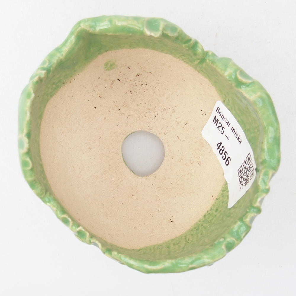 Ceramic shell 7.5 x 7 x 6 cm, color green