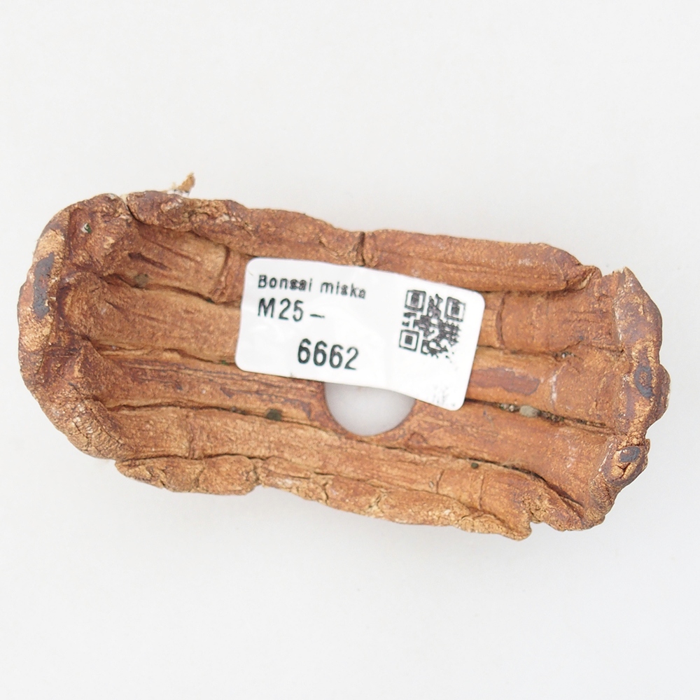 Ceramic Shell 9 x 4,5 x 4,5 cm , colour brown