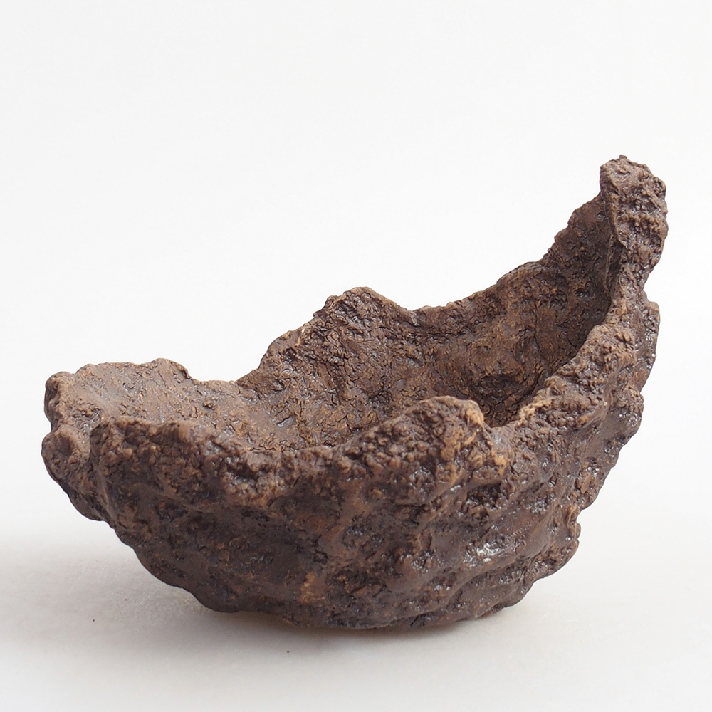 Ceramic Shell 13 x 11 x 11 cm , colour brown