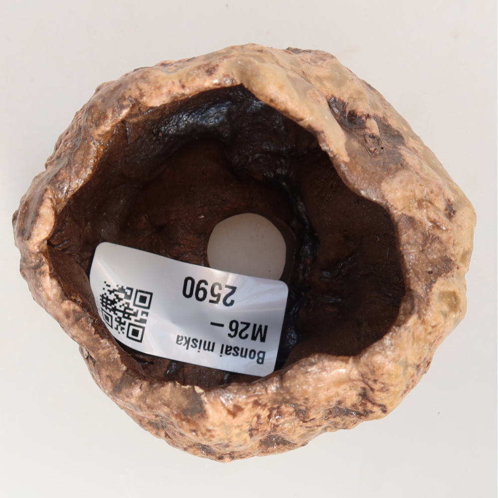 Ceramic Shell, 7 x 6 x 5 cm, brown