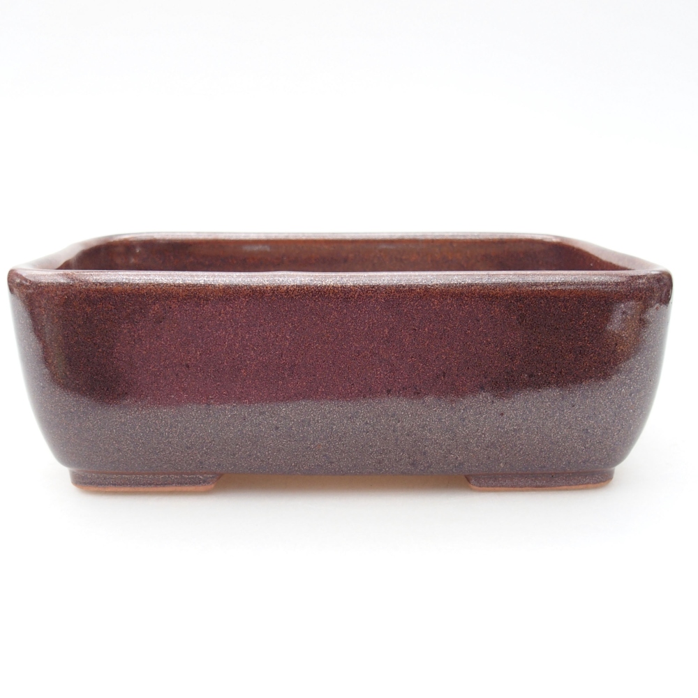 Ceramic bonsai bowl 16 x 11 x 5,5 cm, color brown