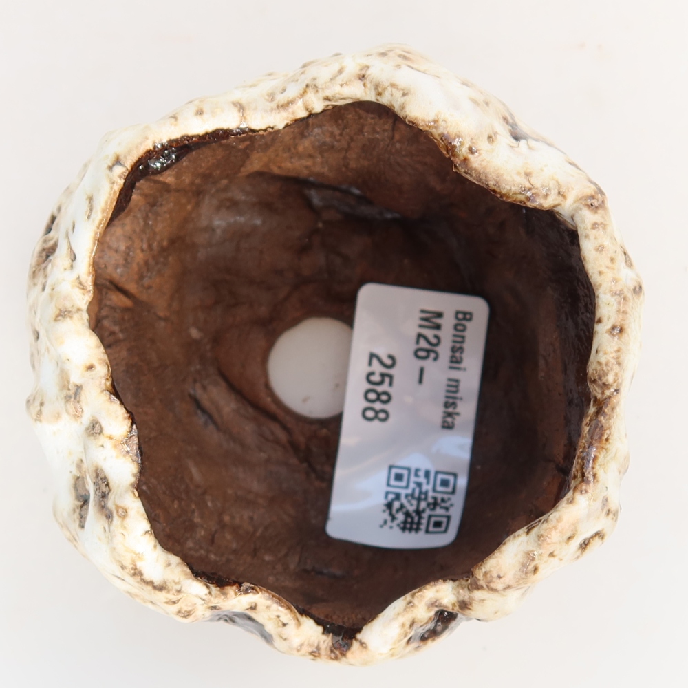 Ceramic Shell, 7.5 x 7.5 x 6 cm, white-brown