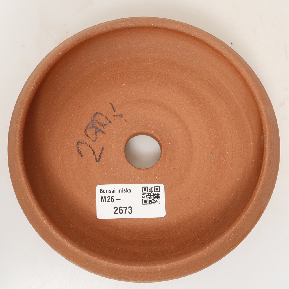 Ceramic Shell  13 x 10.5 x 5.5 cm, natural color