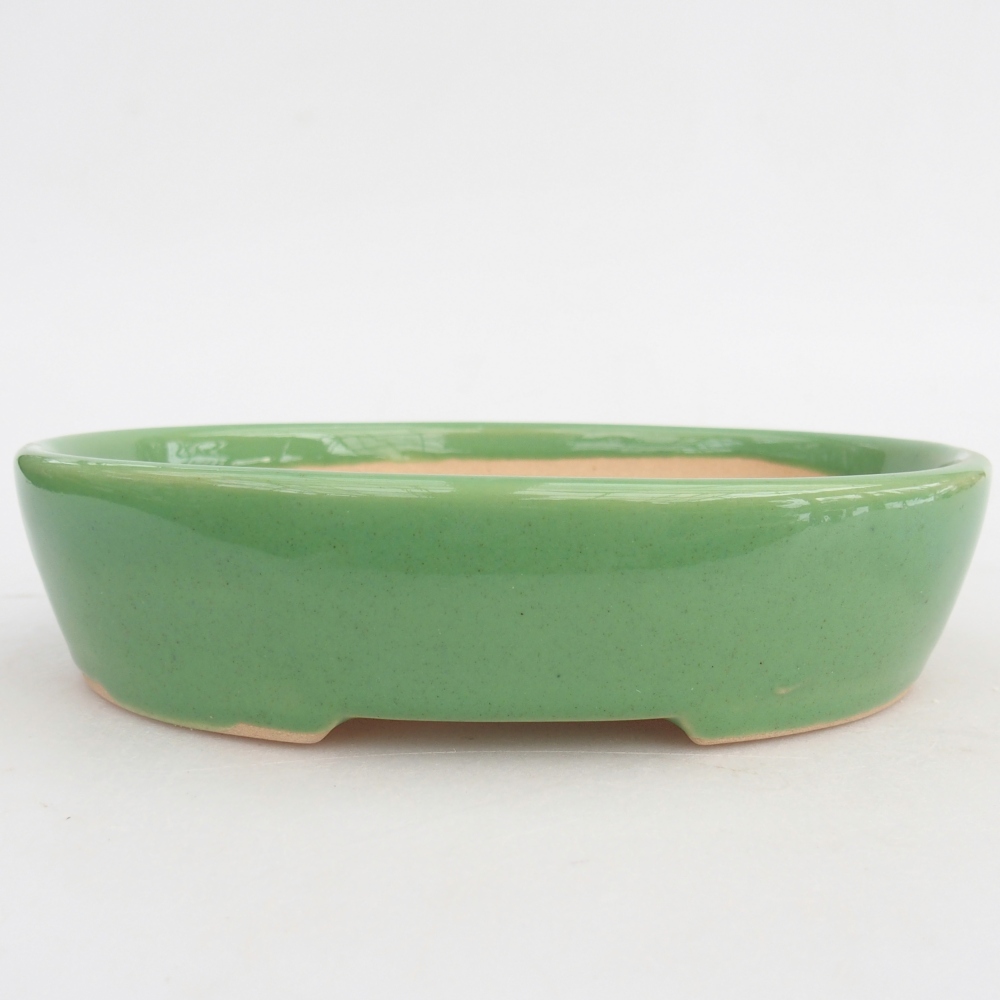 Ceramic bonsai bowl 17 x 14 x 4 cm, green