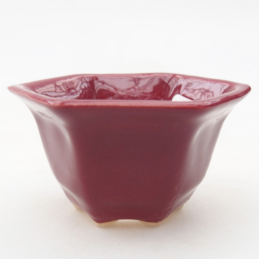 Mini bonsai bowl 5,5 x 5 x 3 cm, burgundy