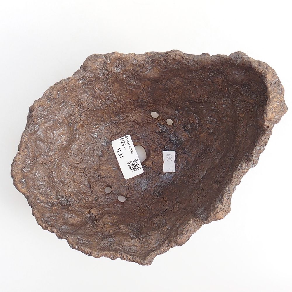 Ceramic Shell 20 x 16 x 17 cm , colour brown