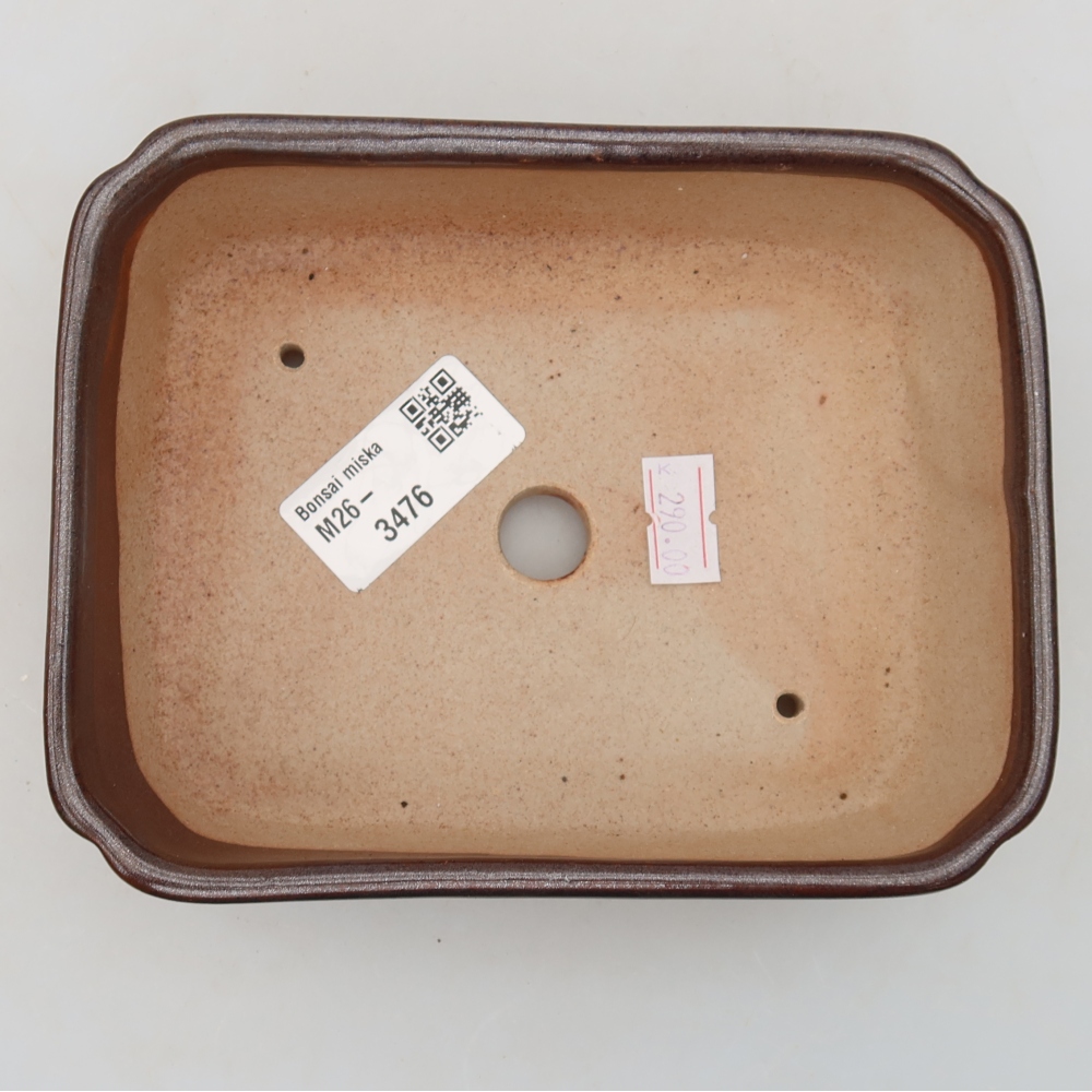 Ceramic bonsai pot, 15 x 12.5 x 4.5 cm, brown