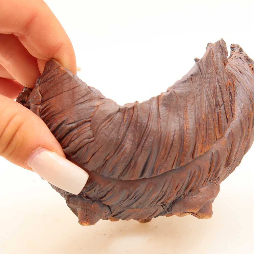 Ceramic Shell  10.5 x 9.5 x 8.5 cm, brown