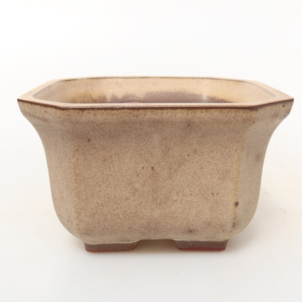 Ceramic Shell  11.5 x 11.5 x 7 cm, beige