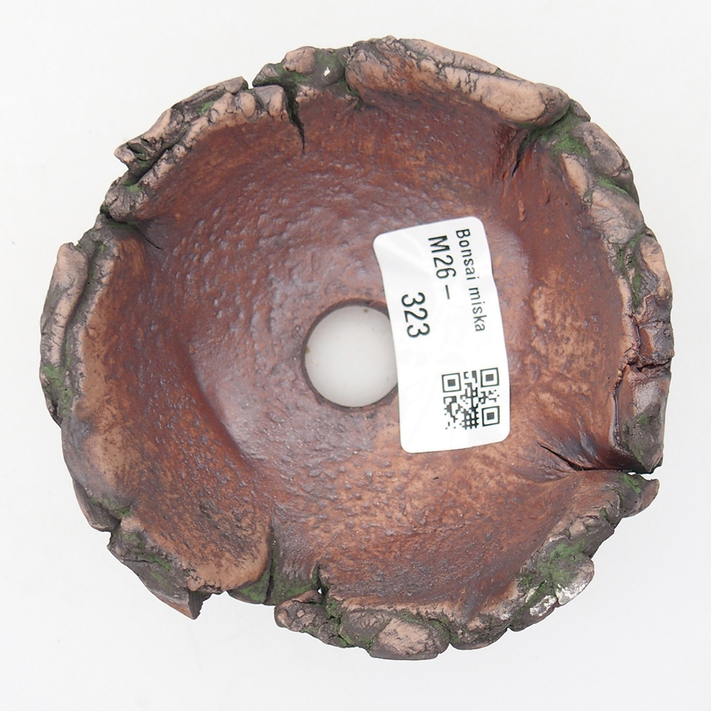 Ceramic Shell 9,5 x 9,5 x 6 cm , colour green