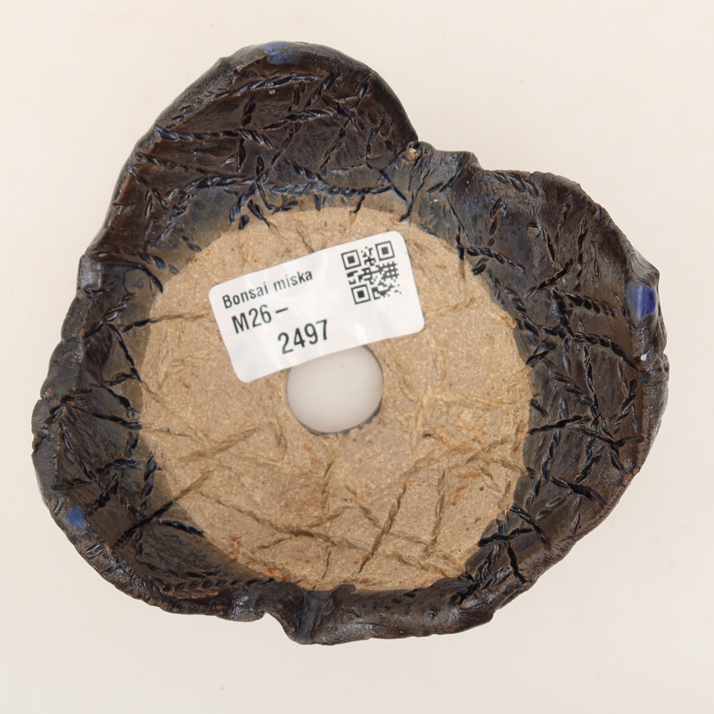 Ceramic Shell  10 x 9.5 x 6 cm, black-blue