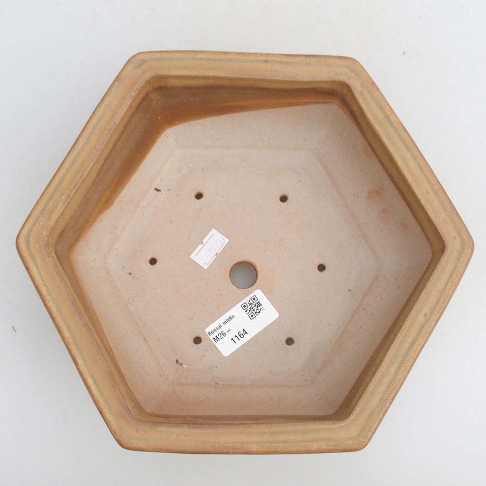 Ceramic bonsai bowl 23 x 21 x 7,5 cm, colour beige