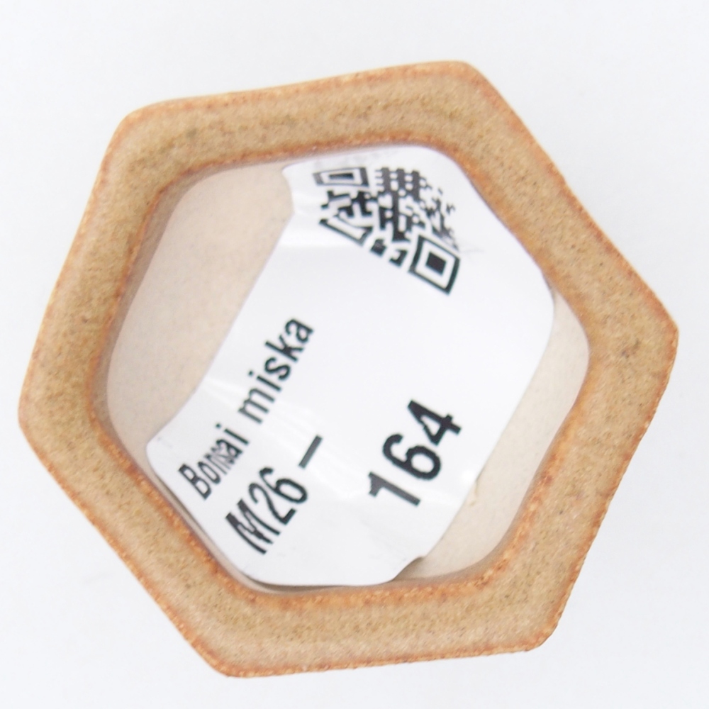 Mini bonsai bowl 4 x 3,5 x 2 cm, brown