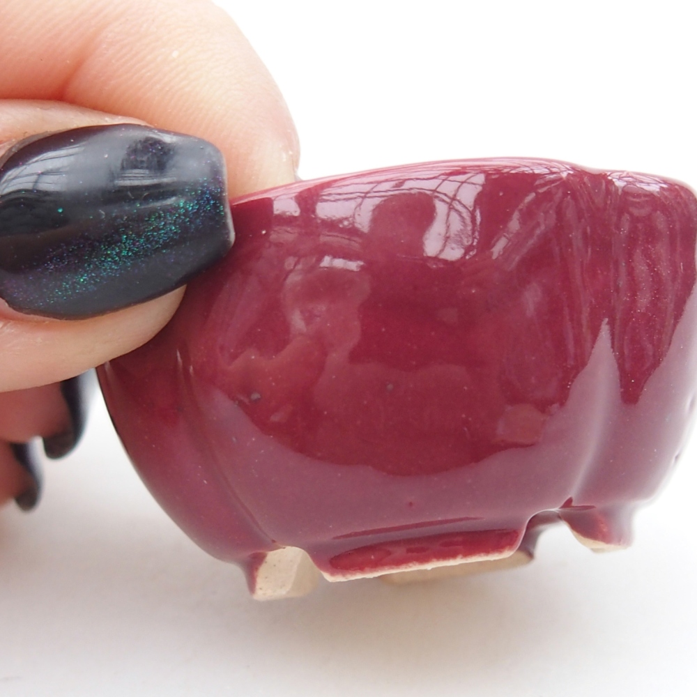 Mini bonsai bowl 4 x 4 x 2 cm, burgundy