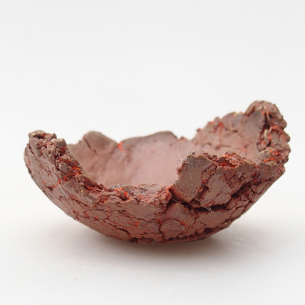 Ceramic Shell 7 x 7 x 4 cm , colour orange