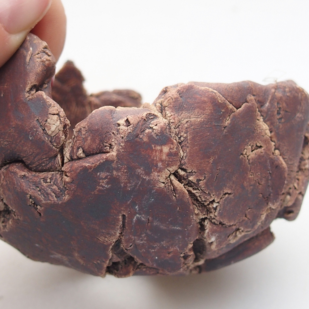 Ceramic Shell 9 x 8,5 x 6 cm , colour brown